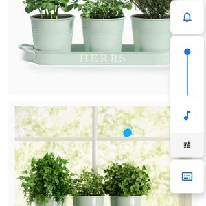 Barnyard designs herb pot planter and 2 skeleton 12 inch plastic plant pot